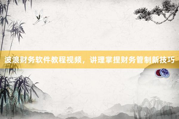 波浪财务软件教程视频，讲理掌捏财务管制新技巧
